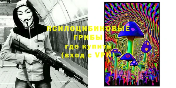 молекула духа Абинск
