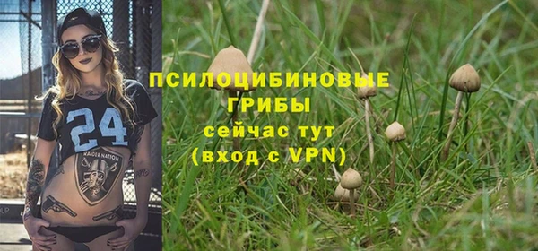экстази Абаза