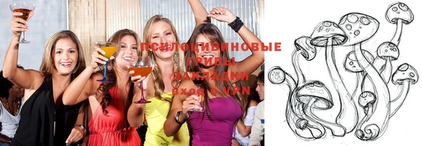 молекула духа Абинск