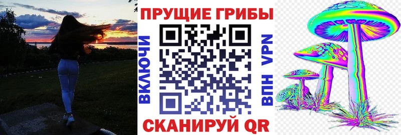 купить закладку Красавино Галлюциногенные грибы Psilocybine cubensis